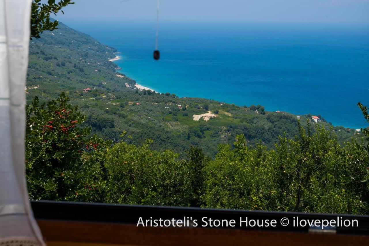 Aristoteli'S Stone House Makrirrákhi エクステリア 写真