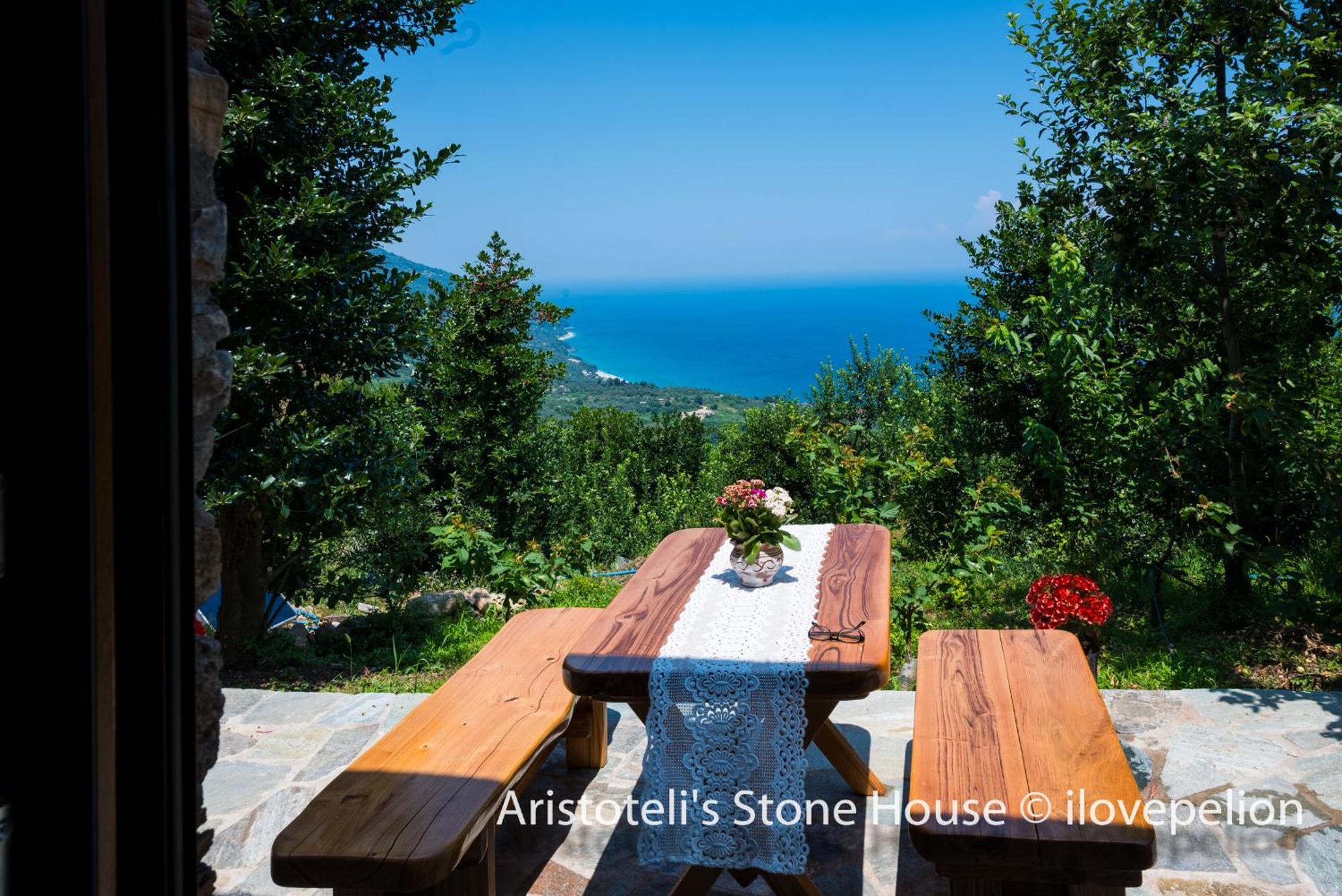 Aristoteli'S Stone House Makrirrákhi エクステリア 写真